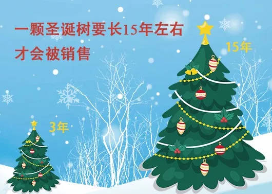 中國最早報道圣誕節(jié)的竟是《人民日報》，你不知道的10個圣誕小知識